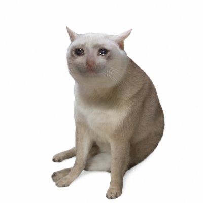 CashCat